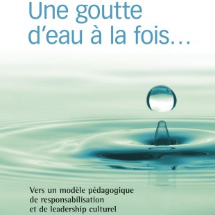 Parution d’un ouvrage sur l’enseignement en langue française en milieu minoritaire