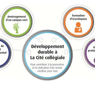 Nouveau plan stratégique pour le développement durable à La Cité collégiale