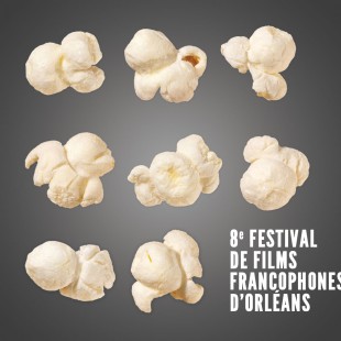 8e Festival Objectif Cinéma