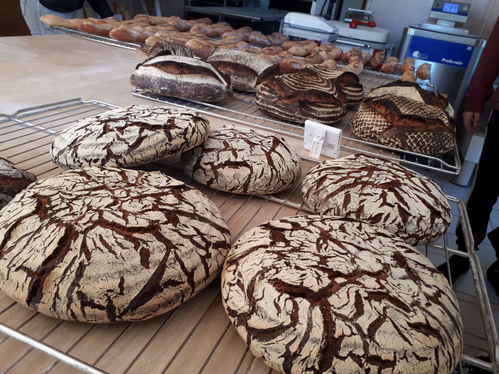 Des pains confectionnés par les Moulins Bourgeois, non loin de Paris.